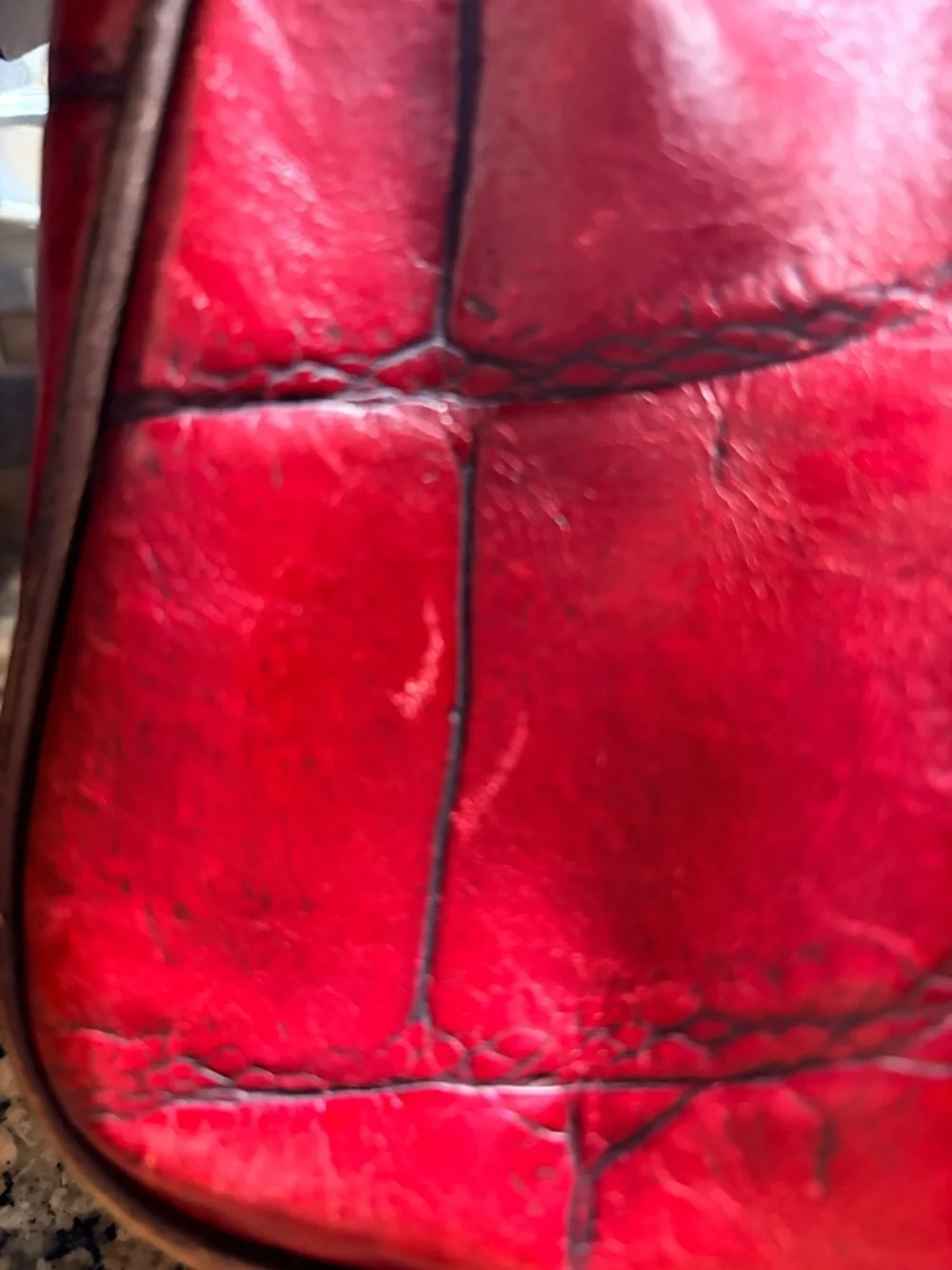 Dooney and Bourke Red Croc Bag